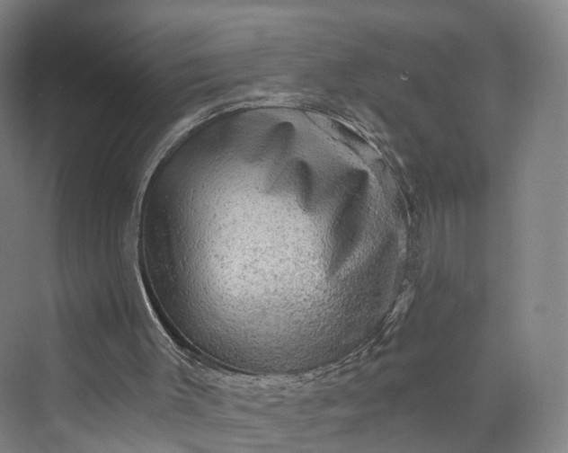 X0000069790003200606021425