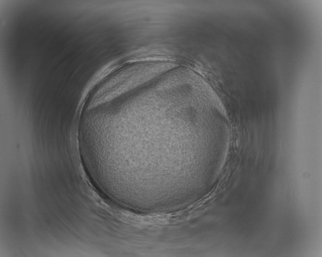 X0000069790004200606021425