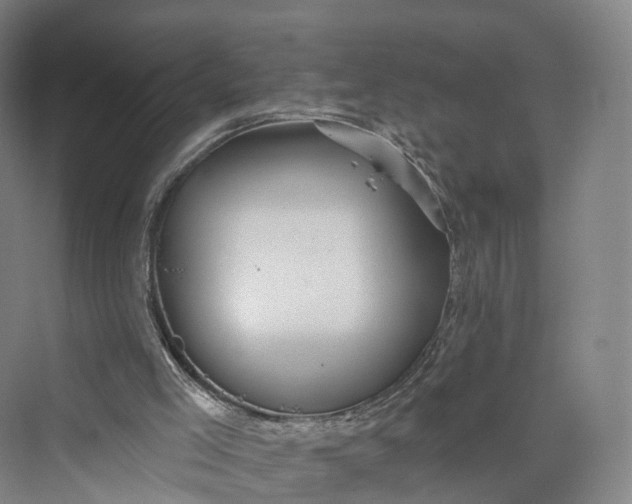 X0000069790005200606021425