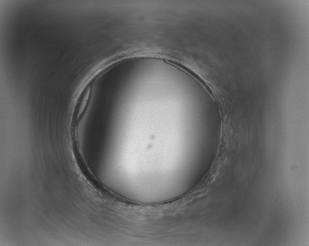 X0000069790007200606021425