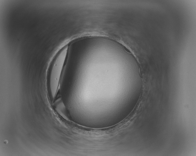 X0000069790008200606021425