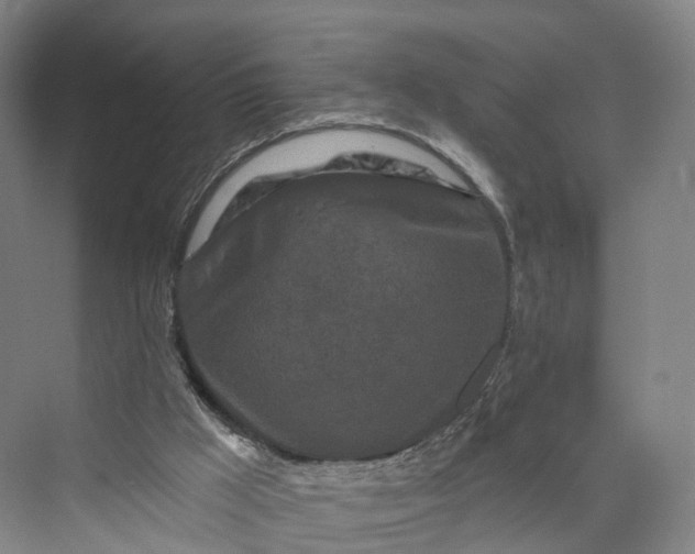 X0000069790009200606021425