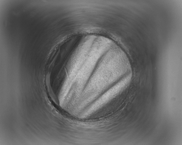 X0000069790010200606021425