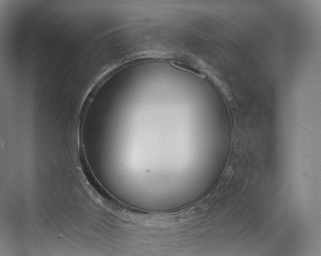 X0000069790011200606021425