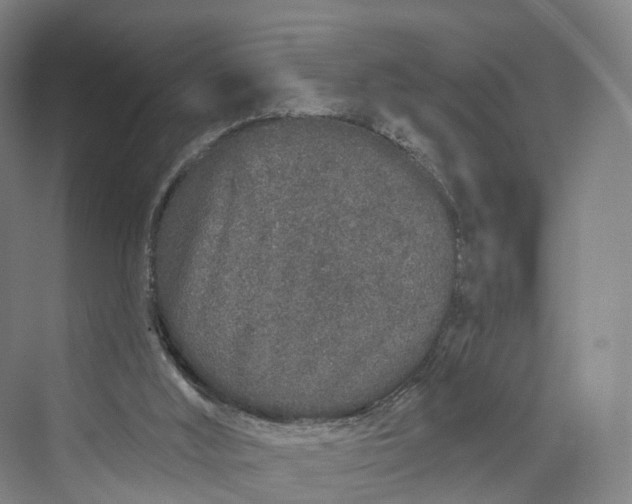 X0000069790012200606021425