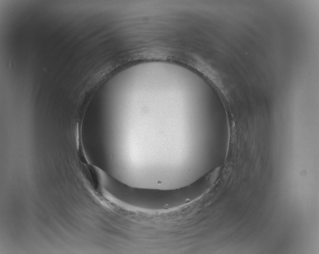 X0000069790013200606021425