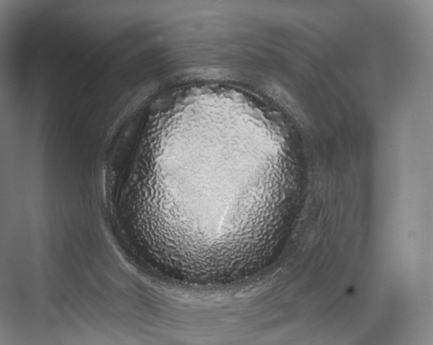 X0000069790014200606021425