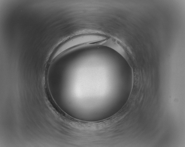 X0000069790015200606021425