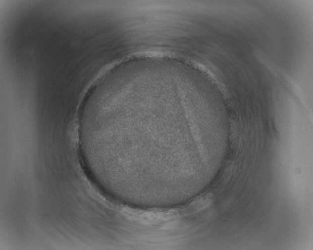 X0000069790016200606021425