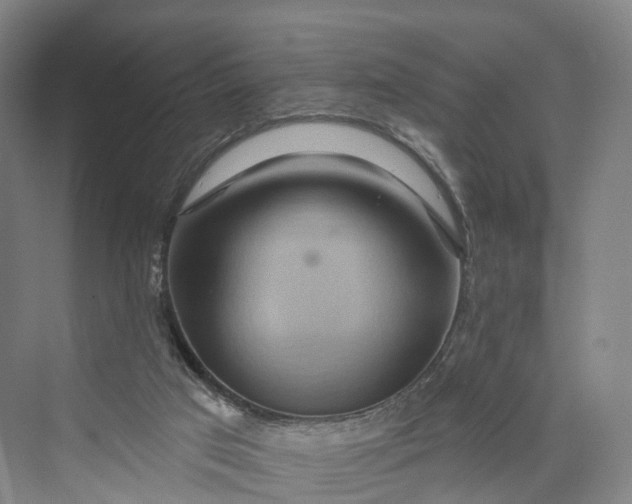 X0000069790017200606021425