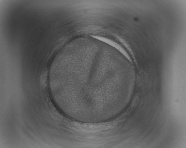 X0000069790018200606021425