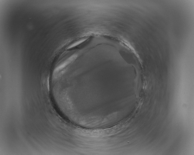 X0000069790019200606021425