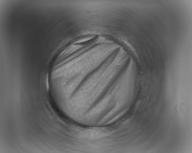 X0000069790020200606021425