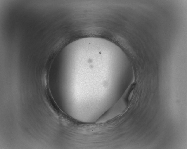 X0000069790021200606021425