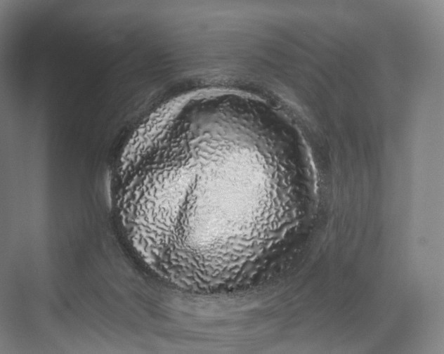 X0000069790022200606021425