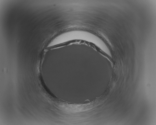 X0000069790023200606021425