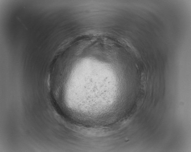 X0000069790024200606021425