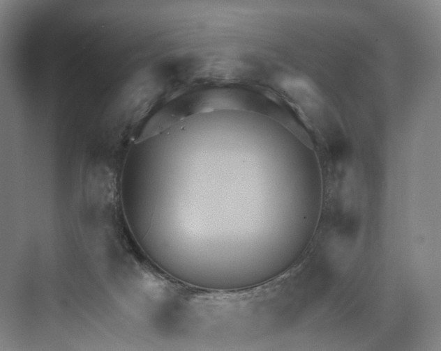 X0000069790025200606021425