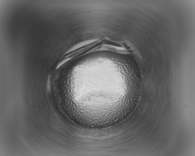 X0000069790026200606021425