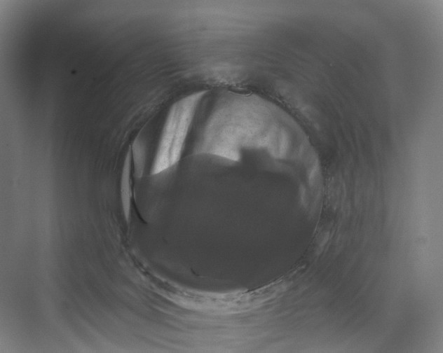 X0000069790027200606021425