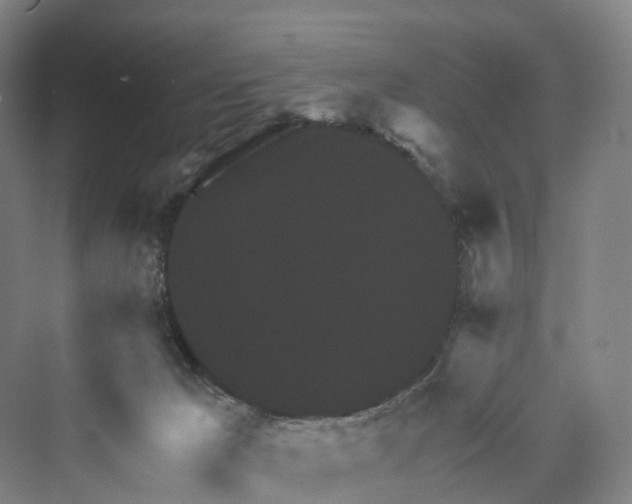 X0000069790029200606021425