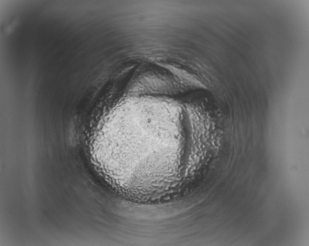 X0000069790030200606021425