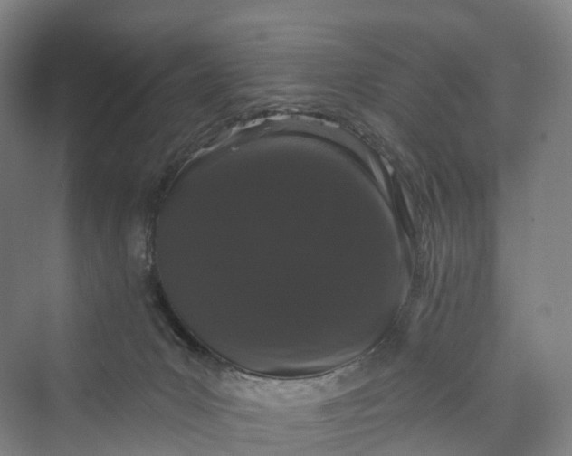 X0000069790031200606021425