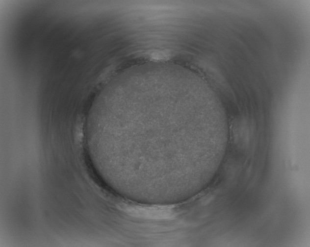 X0000069790032200606021425