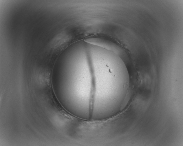 X0000069790033200606021425