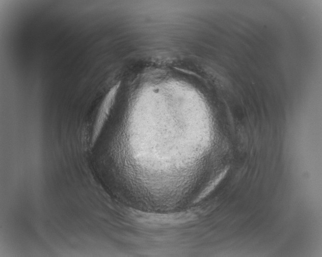 X0000069790034200606021425