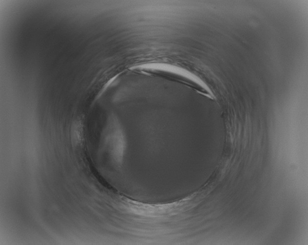 X0000069790035200606021425