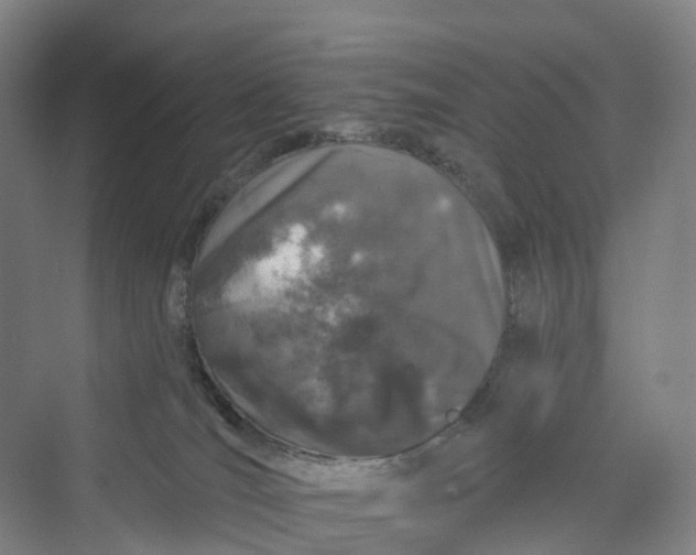 X0000069790036200606021425