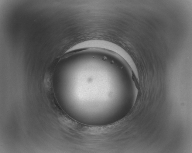 X0000069790037200606021425