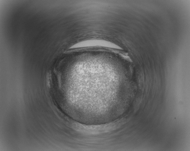 X0000069790038200606021425