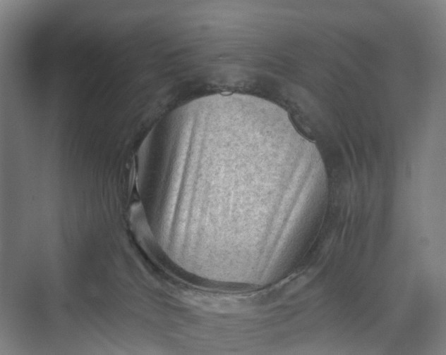 X0000069790040200606021424