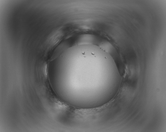 X0000069790041200606021424