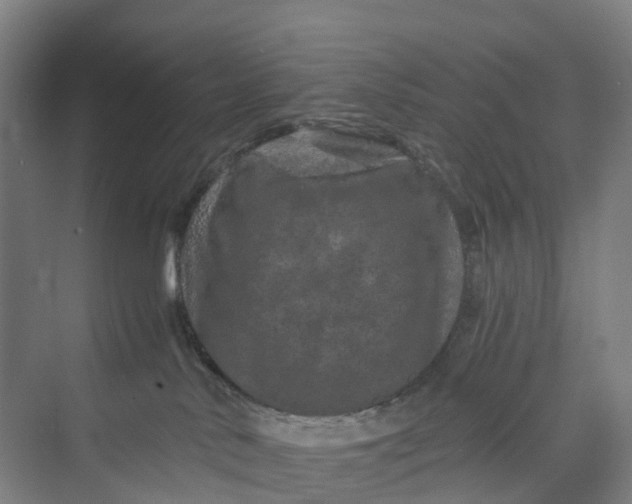 X0000069790042200606021424