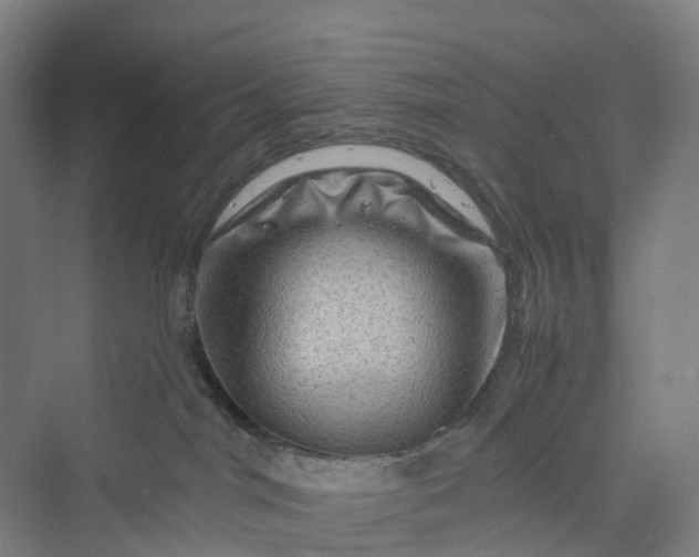 X0000069790044200606021424