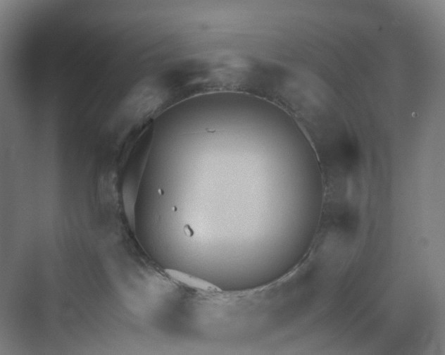 X0000069790045200606021424