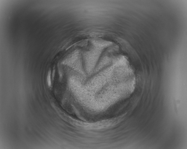 X0000069790046200606021424