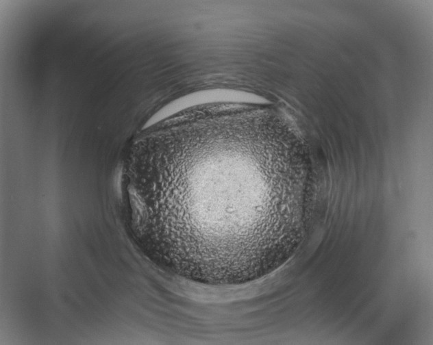 X0000069790047200606021424