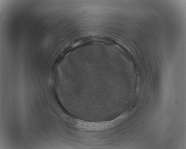 X0000069790048200606021424