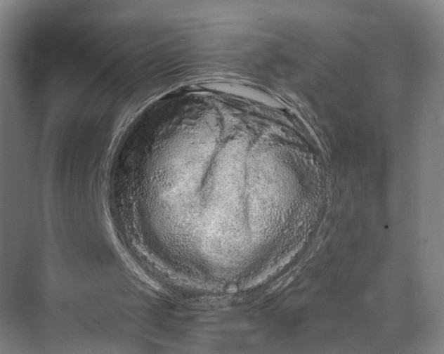 X0000069790049200606021424