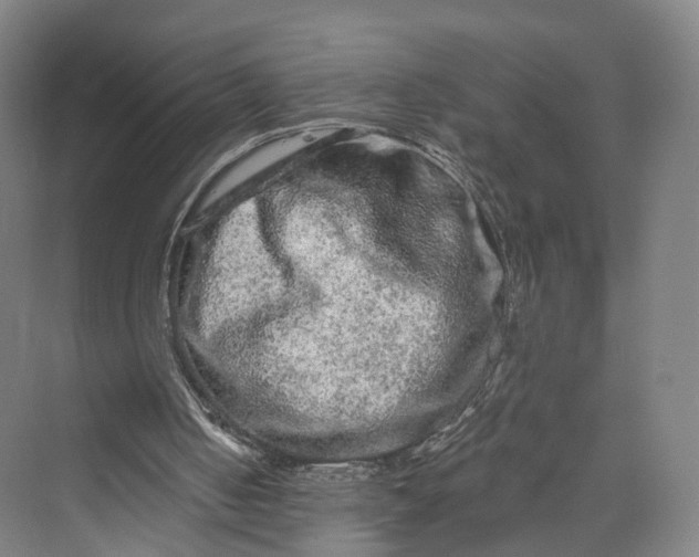 X0000069790050200606021424