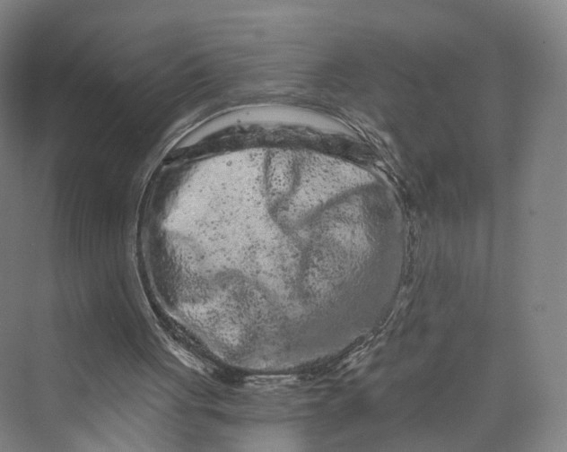 X0000069790051200606021424