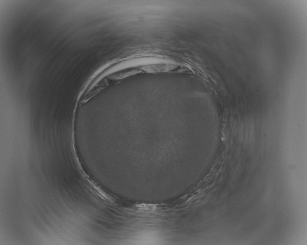 X0000069790052200606021424