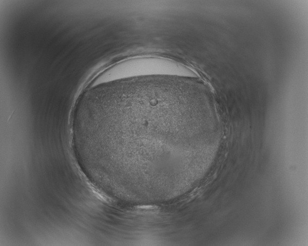 X0000069790053200606021424