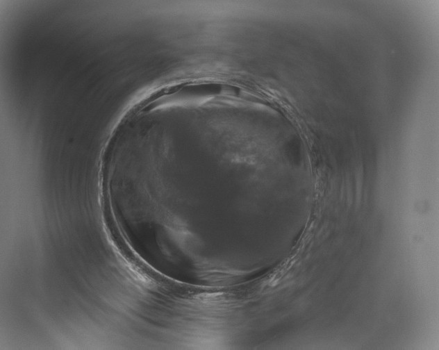 X0000069790054200606021424