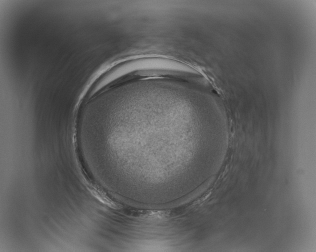 X0000069790056200606021424