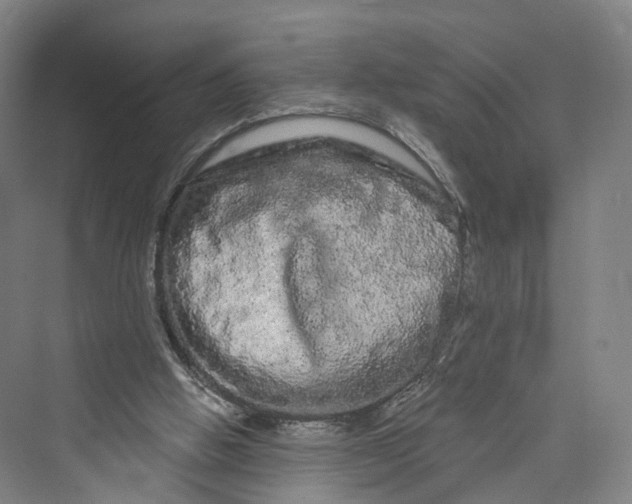 X0000069790058200606021424